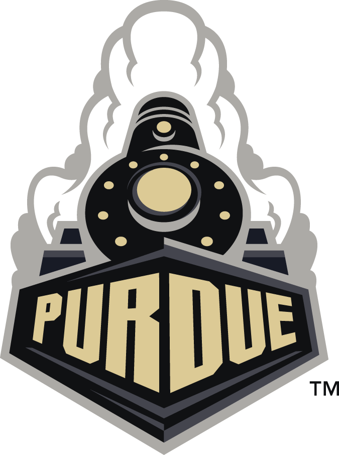 Purdue Boilermakers 2012-Pres Alternate Logo t shirts iron on transfers v2